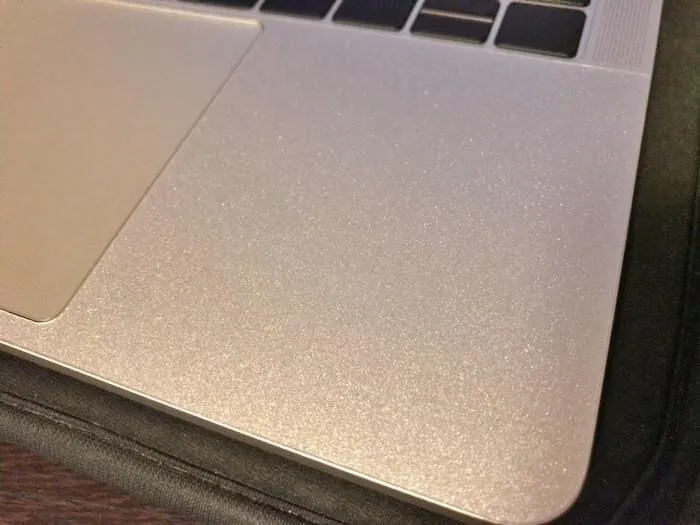 近くで見ると結構キラキラして見える?